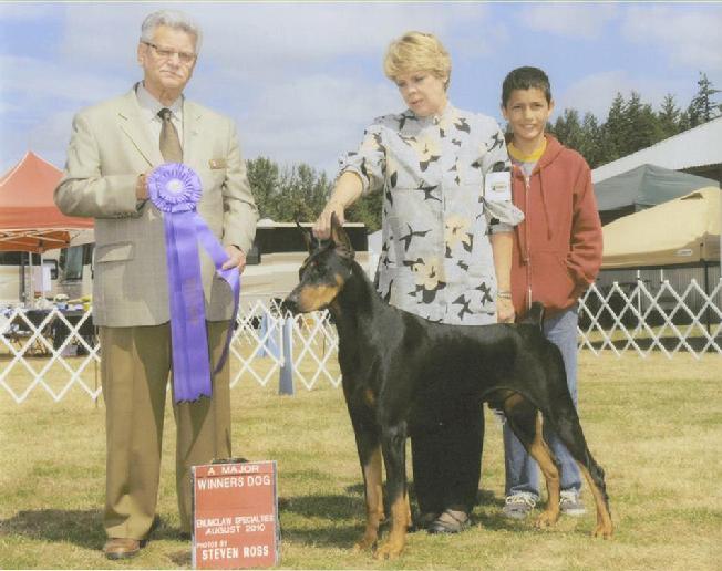 Am/Intl Ch DeeRun's Leonidas Winners Dog PSDPC Specialty Show